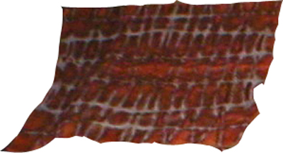 Pattern 6