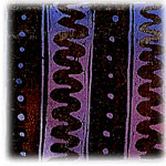 Kente design 01